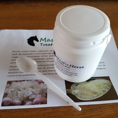 Mastic Horse Treatment