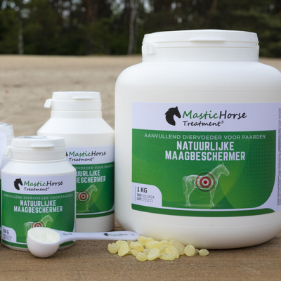 Mastic Horse treatment